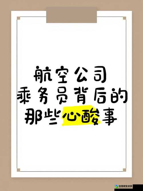 飞机上与乘务员的美好相遇：一段跨越职责的温暖故事