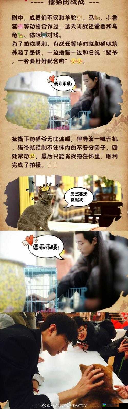 范海辛的惊奇之旅彩蛋全收录！这12个隐藏细节让你尖叫拍手叫好！