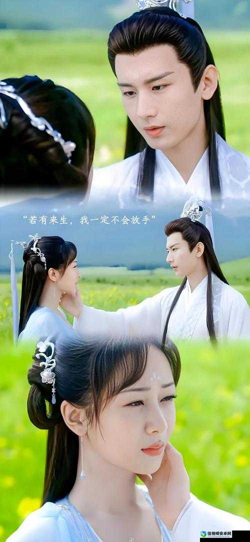 沉香如屑电视剧免费观看完整版｜追剧指南+剧情深度解析