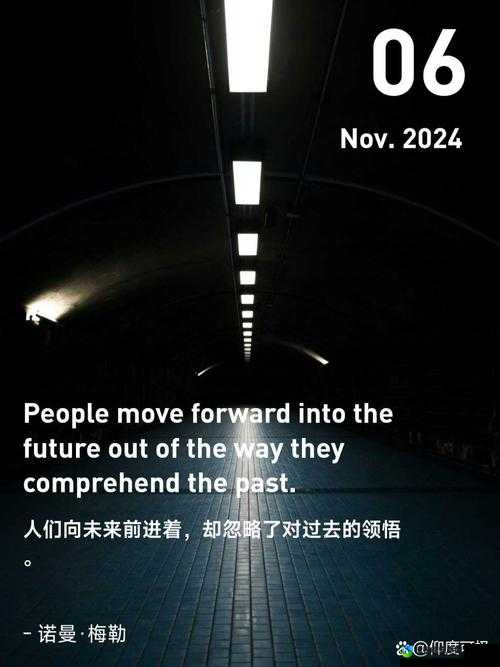 Fee video5D：一场颠覆性的沉浸式革命，带你预见数字生活的无限可能