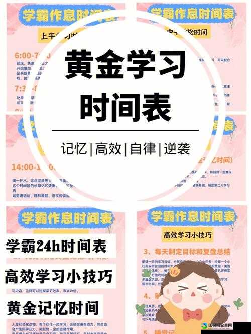 海岛大亨5双行道打造秘诀！效率翻倍的爆肝攻略