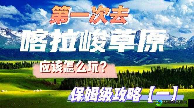 黎明之光转生爆肝实测！零基础3天速成攻略+手残党保姆级教程