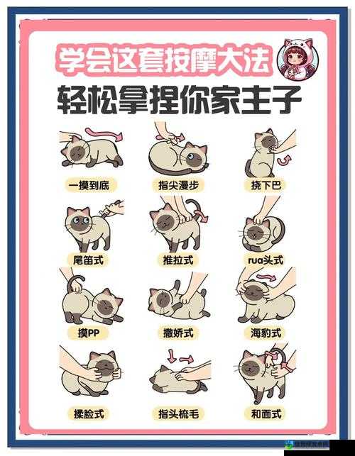 超治愈猫咪保龄球攻略！手残党也能秒变高手的五大秘籍