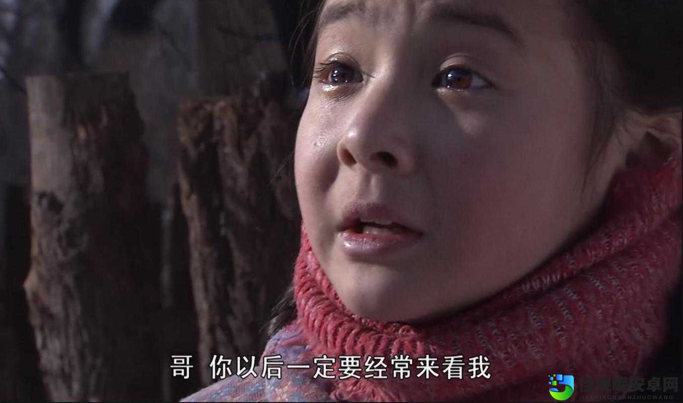 我兄弟的妈妈免费观看电视剧：热播剧背后的亲情密码，免费观看我兄弟的妈妈隐藏的社会温情