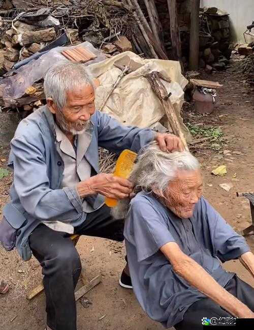 老头老太性做爰视频背后的温暖真相