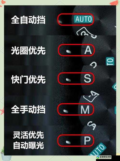 索尼克全明星赛车变形！手把手教你键盘手柄按键设置参考图
